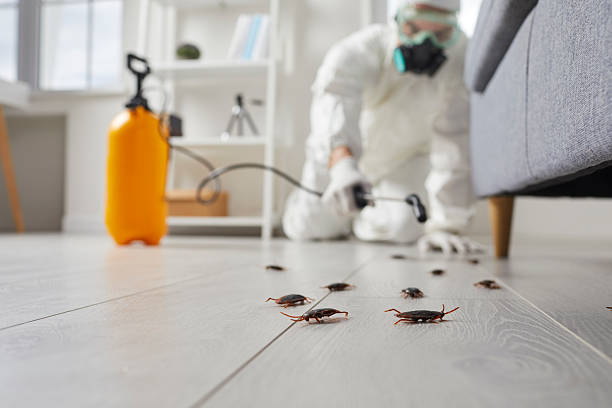 Trusted Rodent Control service in Wisconsin Dells, WI - Nex Pest Control